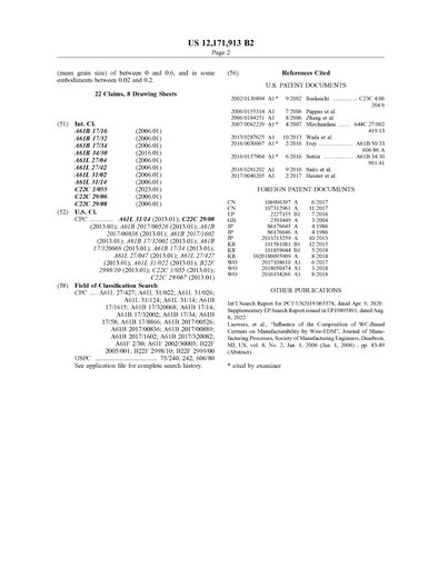 Representative drawing from US 12,171,913